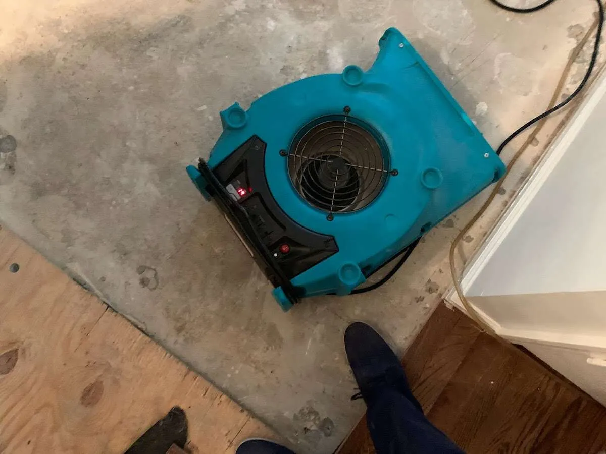 Air mover drying subfloor during Leak Detection & Repair in Horizon West